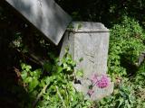 image of grave number 689793